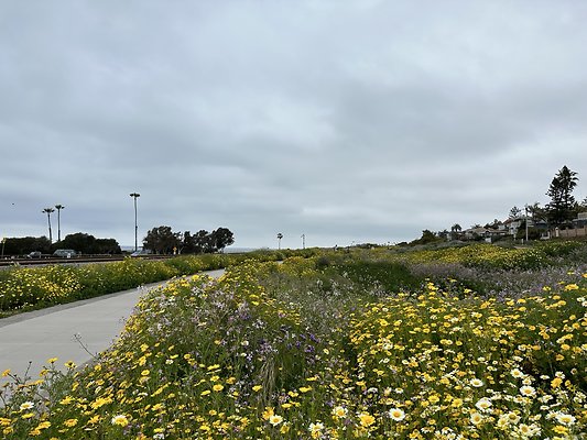 IMG 2547 Large