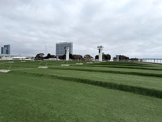 IMG 7911W