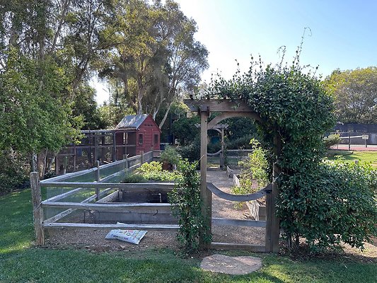 5- Vegetable Garden