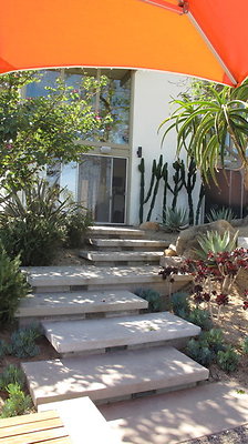 IMG 6978