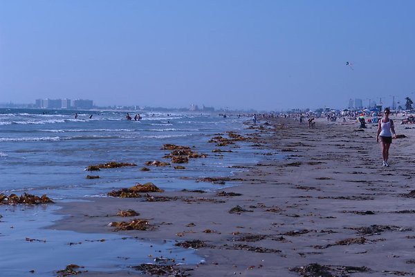 Silver Strand State Beach-21