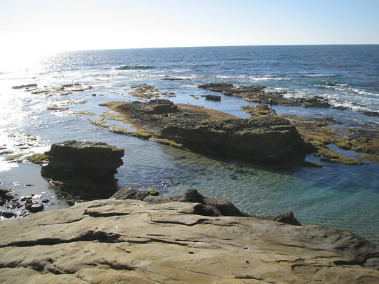 La Jolla Windansea Beach-3