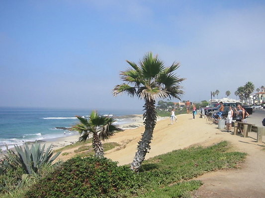 La Jolla Windansea Beach-21