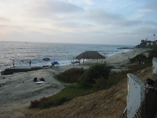 La Jolla Windansea Beach-13