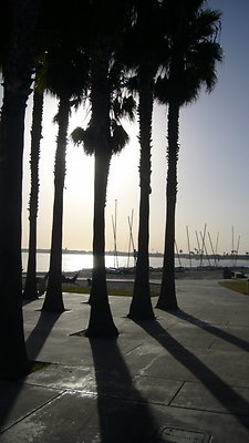 Mission Bay13