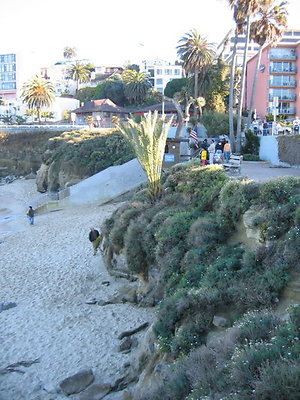 La Jolla Cove Beach-16