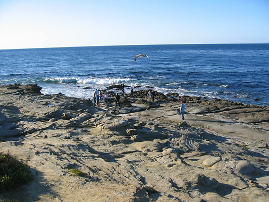 La Jolla Cove Beach-18