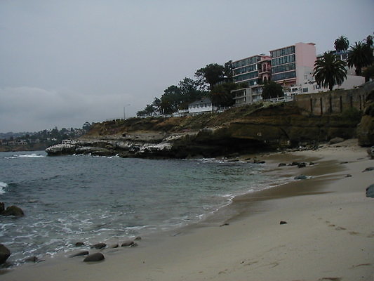 La Jolla Cove Beach-52 - OLYMPUS DIGITAL CAMERA