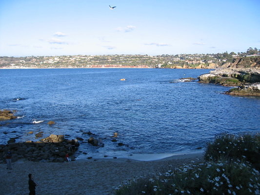 La Jolla Cove Beach-12