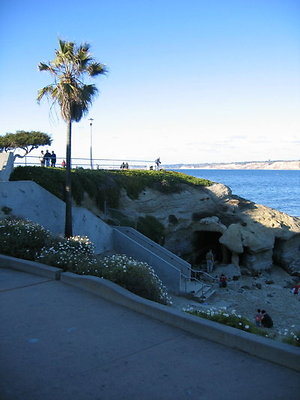 La Jolla Cove Beach-10