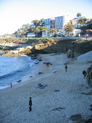 La Jolla Cove Beach-15