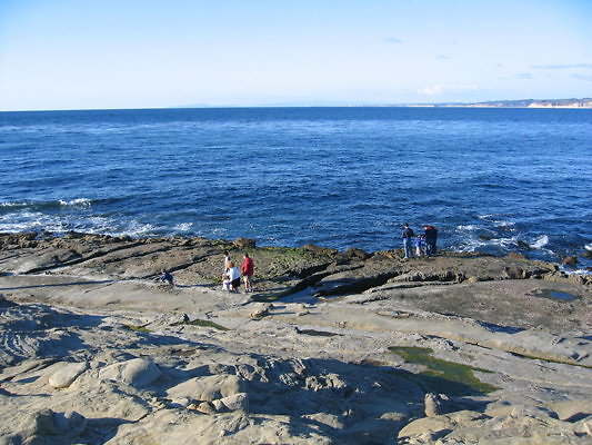 La Jolla Cove Beach-19