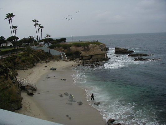 La Jolla Cove Beach-54 - OLYMPUS DIGITAL CAMERA