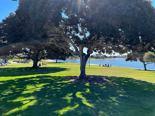 Mission Bay Park