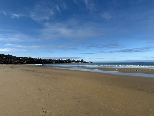 La Jolla Shores Beach