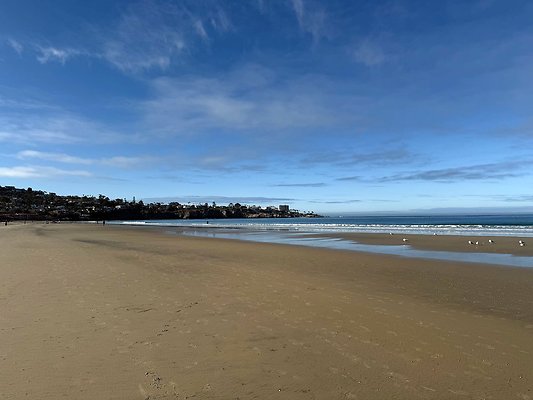 Beach - La Jolla Shores Feb 25
