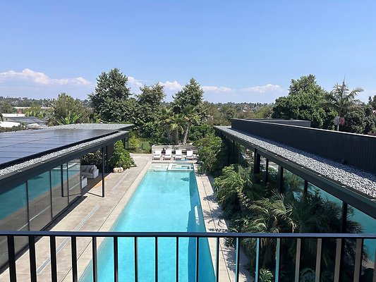 Pool &amp; Backyard