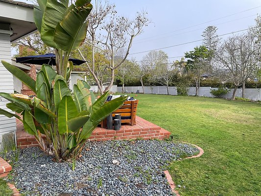 Front Yard