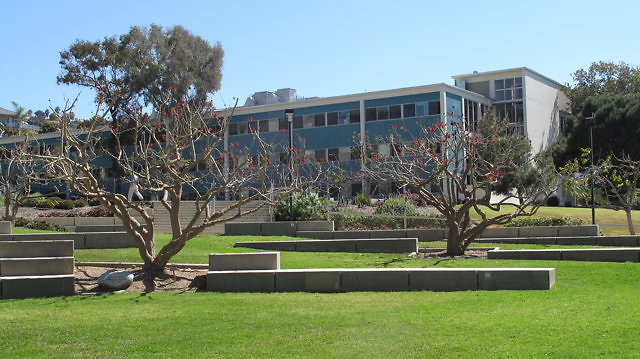IMG 0224
