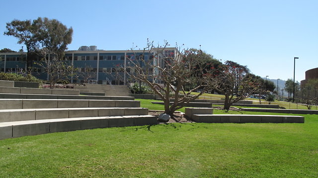 IMG 0225