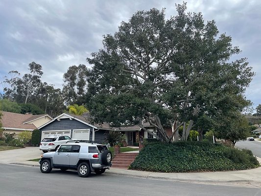 Pettit - Scripps Ranch Pettit - Scripps Ranch