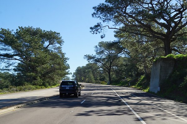 S21 TorreyPines 141 S21 TorreyPines 141