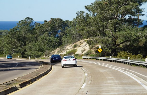 S21 TorreyPines 175 S21 TorreyPines 175