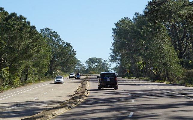 S21 TorreyPines 142 S21 TorreyPines 142