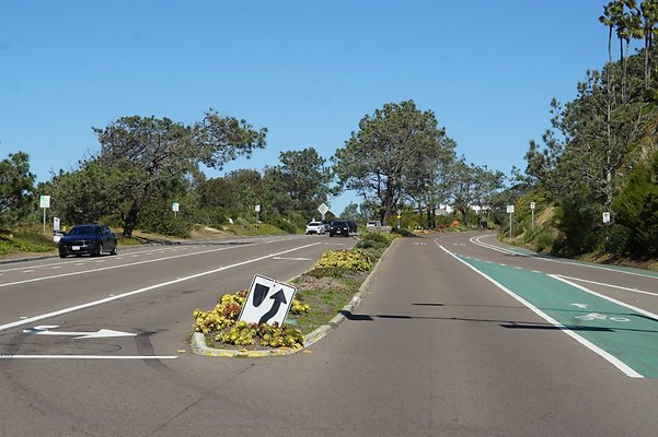 S21 TorreyPines 210 S21 TorreyPines 210