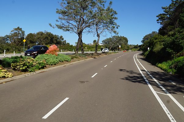 S21 TorreyPines 213 S21 TorreyPines 213