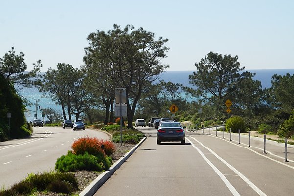 S21 TorreyPines 99 S21 TorreyPines 99