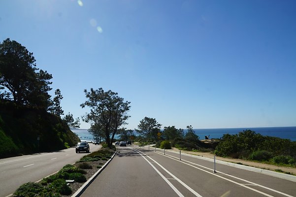 S21 TorreyPines 100 S21 TorreyPines 100