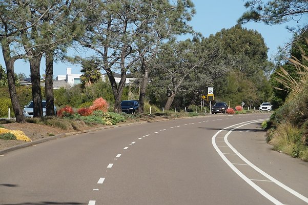 S21 TorreyPines 212 S21 TorreyPines 212