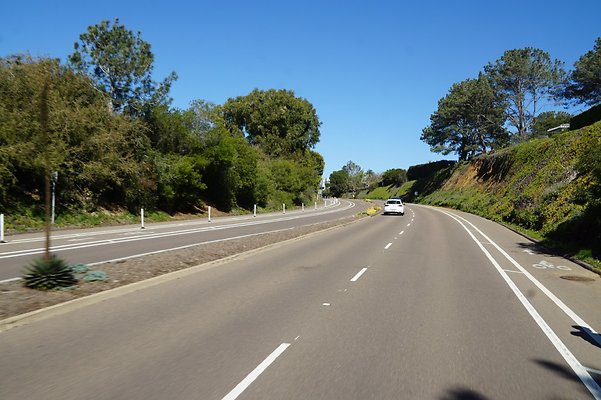 S21 TorreyPines 215 S21 TorreyPines 215