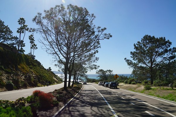 S21 TorreyPines 102 S21 TorreyPines 102