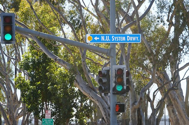 S21 TorreyPines 158 S21 TorreyPines 158