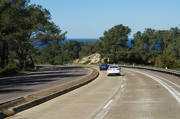 S21 TorreyPines 174 S21 TorreyPines 174