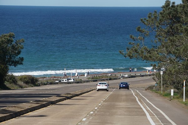 S21 TorreyPines 181 S21 TorreyPines 181