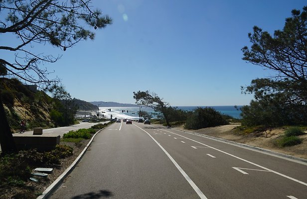 S21 TorreyPines 103 S21 TorreyPines 103